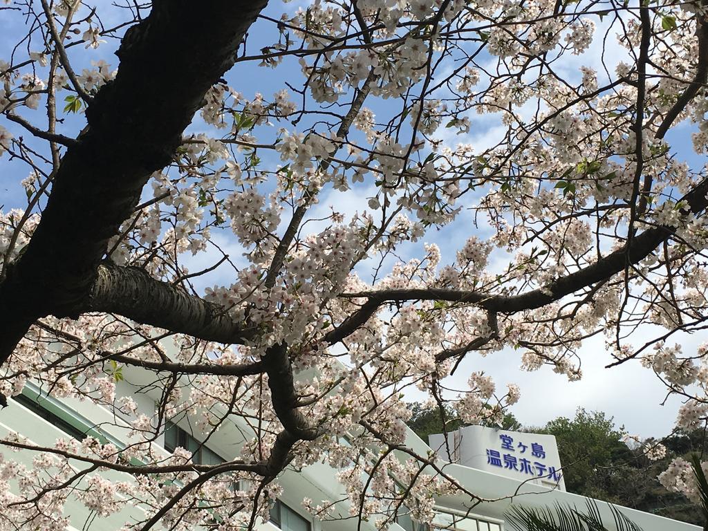 โดะงะชิมะ ออนเซน โฮเต็ล Hotel นิชิอิซุ ภายนอก รูปภาพ